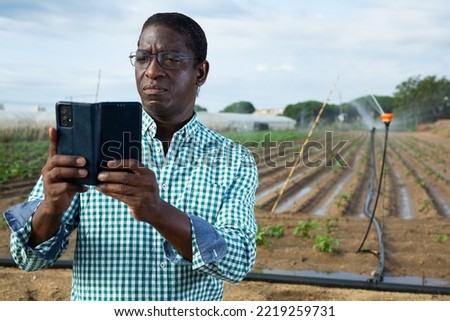 Portrait of african-american man agriculturist taking pictures of vegetable field with his smartphone.
