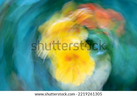 Colourful flower blurs painterly effect of nasturtium. Royalty-Free Stock Photo #2219261305
