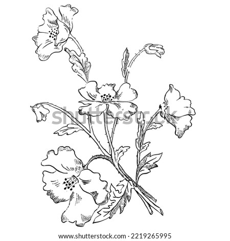 Nifty gentle hand drawn botanical stalk. Vintage nature element for visit card or wedding invitation. Stylish poppy flower, fancy blossom. Black line botanical motiv. Herbal culm.
Ink silhouette
