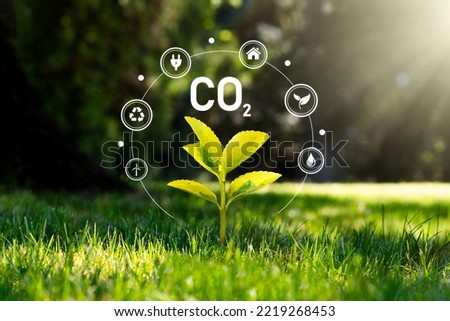 Carbon dioxide, CO2 emissions, carbon footprint concept Royalty-Free Stock Photo #2219268453