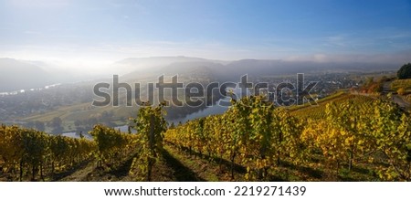 Moselschleife and vineyards, Kröv, morning light, Rhineland-Palatinate, Germany Royalty-Free Stock Photo #2219271439