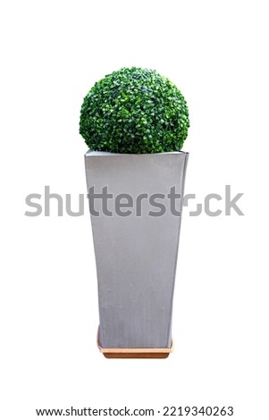 Cut out a potted plant in a metal standee. Round green bush in a silver column for picture composings