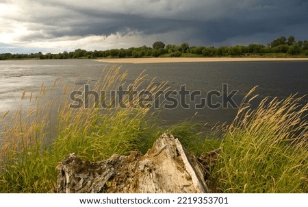 River flowing in the forest. Landscape of river on the sunset with dramatic sky. Wisła river in Poland.