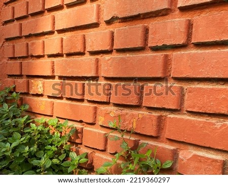 A photo of a brick-colored and brick-shaped dusty wall colored by greenery.