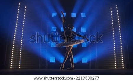 Theatrical ballet performance performed by young ballet dancer in white tutu. Silhouette of young slender woman dancing gracefully against backdrop of smoke and spotlights with soft blue light.
