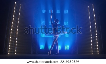 Young classical ballet dancer dancing in background of smoke and spotlights with soft blue light. Silhouette of ballerina practicing elements of ballet choreography in stage costume of white swan.