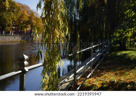 AUTUMN IN CITY - A colorful season on the banks of the river