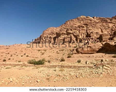 Petra, Jordan, November 2019 - A close up of a desert field with Petra in the background