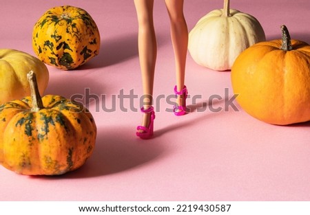 Autumn walk. Little pumpkins on pastel light pink background. Trendy fall concept. Minimalistic nature composition.