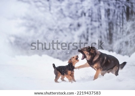 Awesome picture of dog with his baby in snow 
