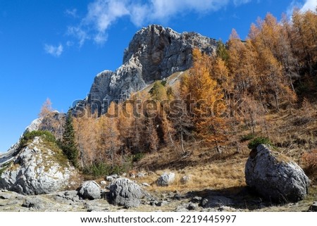 Golden larches in Valley of Triglav Lakes, Slovenia