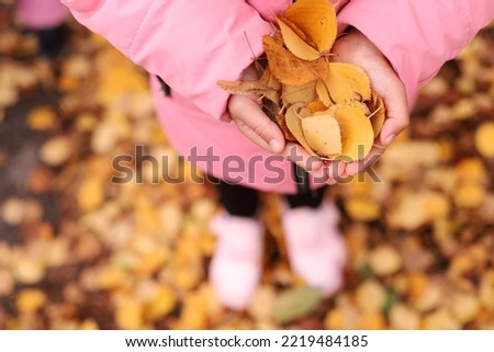 Girl in a pink jacket holding a bouquet of yellow autumn leaves