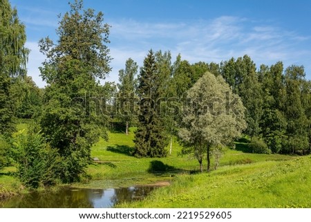 Landscape park in English style with a small forest river
