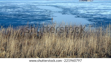 River landscape dissection and drift ice in the early spring, the trees on the shore with no leaves and cloudy sky