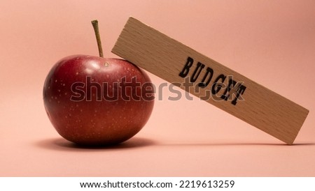 BUDGET writing on wooden surface. Apple pink background concept