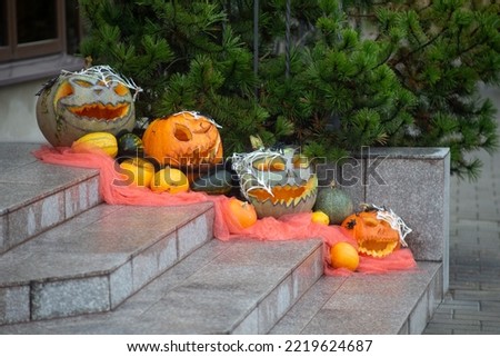 Decorating autumn pumpkins at home. Traditional Thanksgiving and Halloween decor. Goods of the autumn