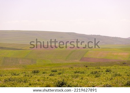 Green fields in the mountains. Shamakhi region. Azerbaijan.