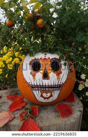 Beautiful Skull (Calavera de Azúcar) On The Big Pumpkin With Chrysanthemums As Festive Decoration For Day Of The Dead In The Autumn Garden. Día de Muertos Background.