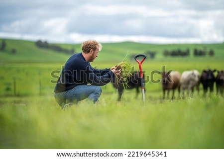regenerative organic farmer, taking soil samples and looking at plant growth in a farm. practicing sustainable agriculture  Royalty-Free Stock Photo #2219645341