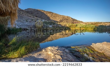 Rogers Warm Hot Spring, Valley of Fire, Lake Mead National Recreation Area, Nevada - Desert Oasis, Palm Trees - Naegleria Fowleri, Brain Eating Amoeba in this Water Royalty-Free Stock Photo #2219662833