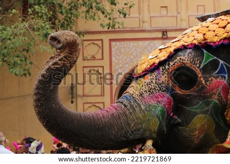 Indian Elephant Picture describe indian culture in Jaipur Rajasthan India 