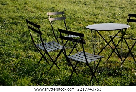 circle cafe table with chairs in the lawn. meadow as if born for morning coffee and tea. metal practical furniture. does not require maintenance