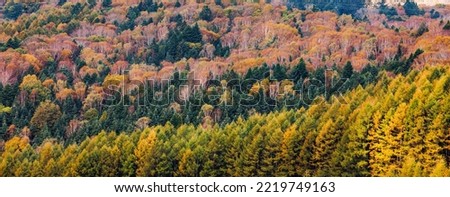 Mountain scenery with autumn leaves seen from Mt. Nikko-Shirane
Nikko-Shirane is one of Japan's 100 famous mountains Royalty-Free Stock Photo #2219749163