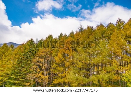Mountain scenery with autumn leaves seen from Mt. Nikko-Shirane
Nikko-Shirane is one of Japan's 100 famous mountains Royalty-Free Stock Photo #2219749175