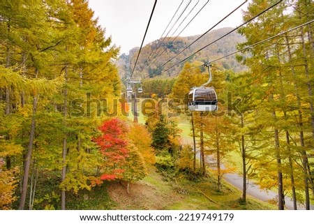 Mountain scenery with autumn leaves seen from Mt. Nikko-Shirane
Nikko-Shirane is one of Japan's 100 famous mountains Royalty-Free Stock Photo #2219749179