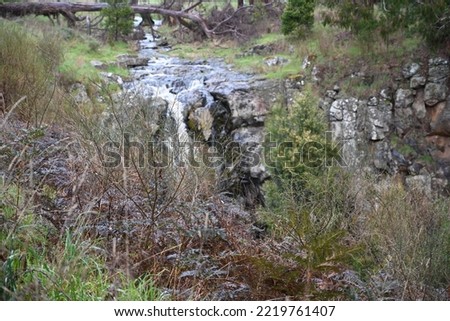 Sailors Falls waterfall ,Hepburn Regional Park, Daylesford, Victoria, Australia Royalty-Free Stock Photo #2219761407
