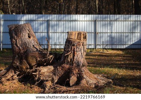 Uprooting of pine stumps in the garden. A stump with its roots torn out of the ground. Deleting a tree. Royalty-Free Stock Photo #2219766169