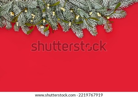 Christmas snow fir mistletoe background border. Traditional pagan nature composition for winter solstice, New Year holiday season on red.