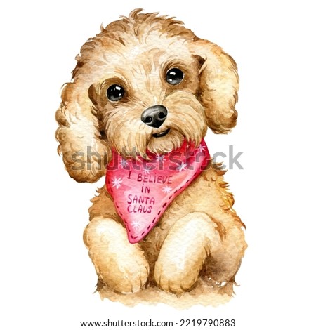 Christmas dog, christmas illustration, holiday illustration, poodle, labradoodle