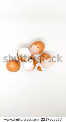 flat lay photo of chicken eggshell in a white background 