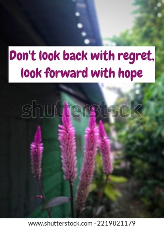 Motivational quote "Don't look back with regret, look forward with hope", inspirational image