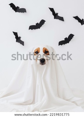 Dog in ghost costume on a white background with black paper bats. Cute Halloween ghost dog
