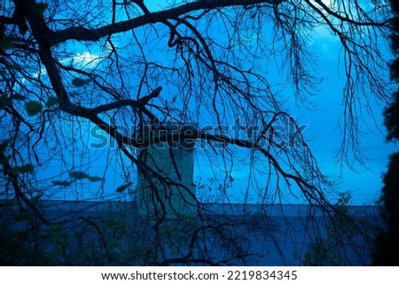 Dark branches on blue background. House roofs and chimney. Creepy background for Halloween. Tree silhouettes with a dramatic sky. Midnight moonlight misty forest