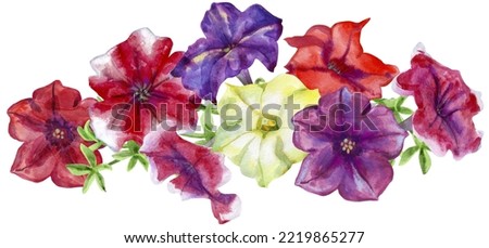 Composition of petunia flowers. Watercolor illustration