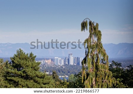 Panoramic view of Seattle downtown from Volunteer Park water tower in a sunny day, Washington, USA.