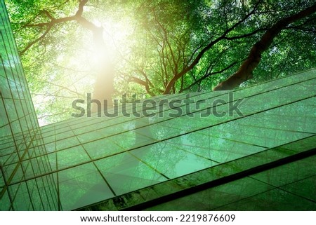 Sustainble green building. Eco-friendly building. Sustainable glass office building with tree for reducing carbon dioxide. Office with green environment. Corporate building reduce CO2. Safety glass. Royalty-Free Stock Photo #2219876609