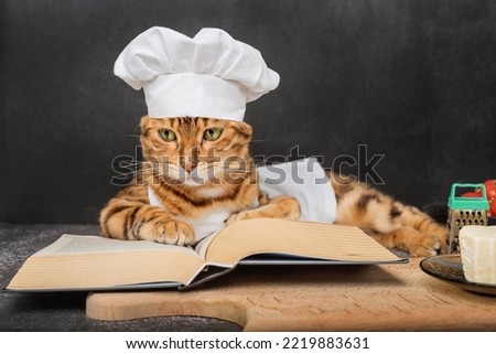 A cute Bengal cat lies next to an open recipe book on a dark background.