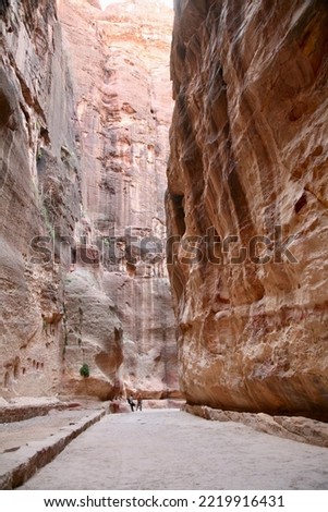 Petra, Jordan, November 2019 - A close up of a canyon