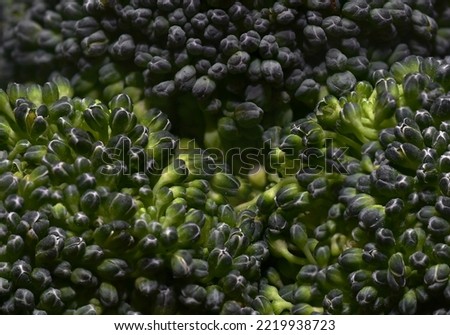 Fresh green broccoli close-up on a black background
