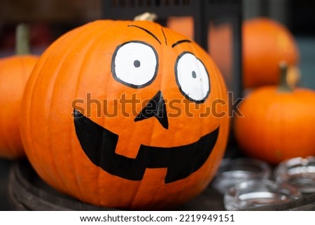 Decorating autumn pumpkins at home. Traditional Thanksgiving and Halloween decor. Goods of the autumn