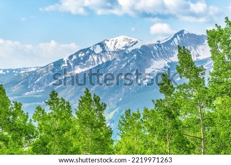 Green aspen trees treetops forest in sunny Crested Butte, Colorado Snodgrass hiking trail in summer with snow mountain in background Royalty-Free Stock Photo #2219971263