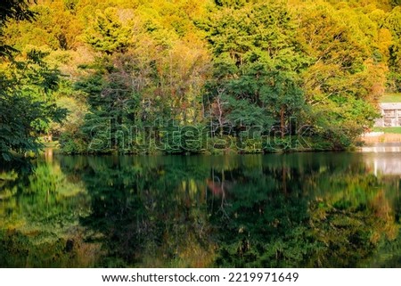 Lake reflections, Peaks Of Otter, Blue Ridge Parkway, Smoky Mountains, USA.