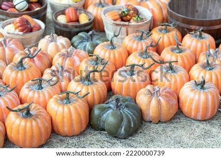 Picture of Pumpkin Patch lot