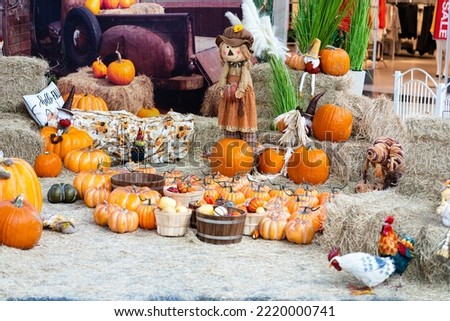 Picture of Pumpkin Patch lot