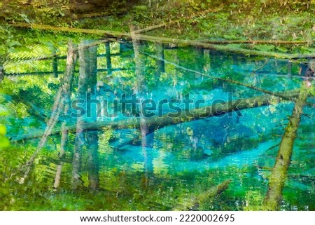 A mysterious blue pond in Hokkaido