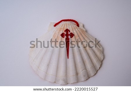 Pilgrim Scallop shells with the Cross of the Order of Santiago. Typical symbol of pilgrimage in the way of saint james.